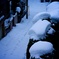Snowy Yokohama at 8:51 AM