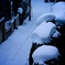 Snowy Yokohama at 8:51 AM