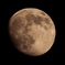 canon 800 mm