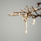 ”drops of champagne”