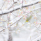 SnowBlossom*1