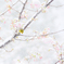 SnowBlossom*2