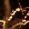 DSC00541