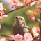 春だね～！