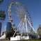 The Wheel of Perth