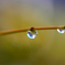 水滴レンズ