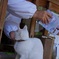ふれ愛
