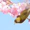 三年越しの恋が実って・・・