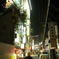 Shinbashi Roji