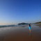 海