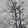 IMGP0653