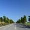 北海道っぽい佐賀県の道