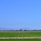 佐賀県の風景