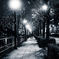 夜の散歩道