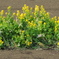 DSCN0429