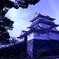 Cool Japan!!