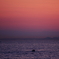 morning boat