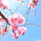 青空と一緒に