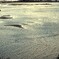 浮かび上がるパレット
