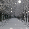 白い冬ソナストリート（なごり雪なのかも・・・）