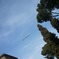 あの空へ