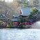 井の頭公園