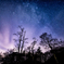 Milky Way of Winter Ⅳ