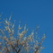 IMGP6992