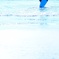 Surfer's Blue