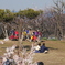 田浦梅林にて 1