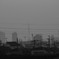 _MG_0098