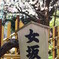 女坂