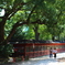 根津神社