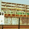 フィルム