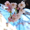 港町　桜