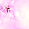 春。み～つけた！