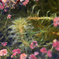 水中花と浮き草