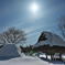 雪に埋もれる