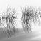 -Reflection-