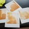 Polaroid