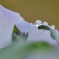 春の雨