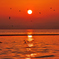 春夕に舞う