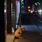 待ちぼうけ