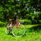 自転車