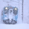 Heavy snow -Train-VIII