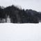 春の雪