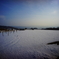 DSC00594