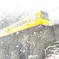 めがね雪