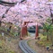 春の訪れ