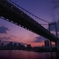 twilight